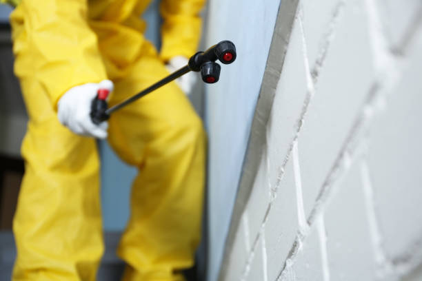 Best Pest Exclusion Services  in USA